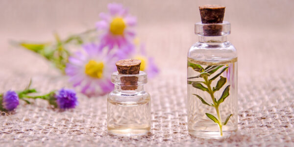 スポード ジョージアンシリーズ ボタニカル フローラル 各3客 ライラック レア スポード ジョージアンシリーズ ボタニカル フローラル 各3客