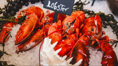 【旅サラダ】海外の旅「カナダ④ セント・ジョン～ホープウェル・ロックス」紹介リスト