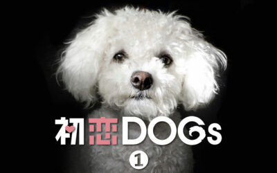 ドラマ「初恋DOGs」第1話 ファッションまとめ