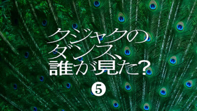 ドラマ「クジャクのダンス、誰が見た？」第5話 ファッションまとめ