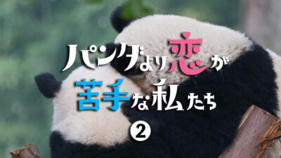 ドラマ「パンダより恋が苦手な私たち」第2話 ファッションまとめ